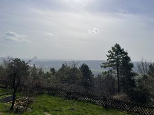 The view  at Sonnenhof Hohenfelden in Hohenfelden