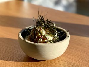  at Umami Bar à Gyoza in Montreal