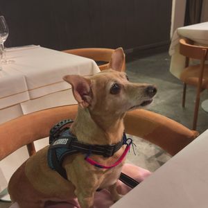  at Amador in Buenos Aires