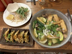 Vegan Gyoza and vegan Pho  at Bo'bon in Paris