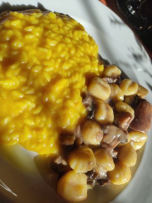 Pumpkin risotto and gnocchi with mushrooms at Granozero in Lecco