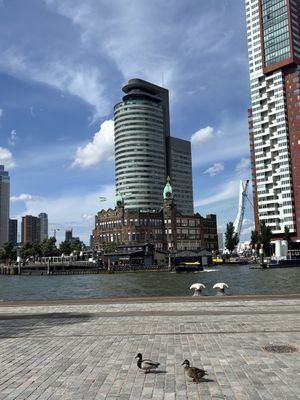 Vegan poke bowl gegeten bij hotel New York   at Hotel New York in Rotterdam