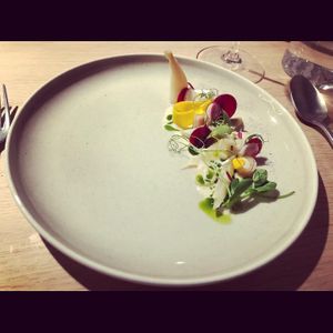 Again radish   at Elmira in Zurich