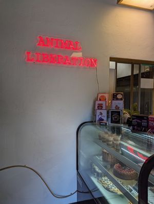  at Houlden's Rise Above in Tucson