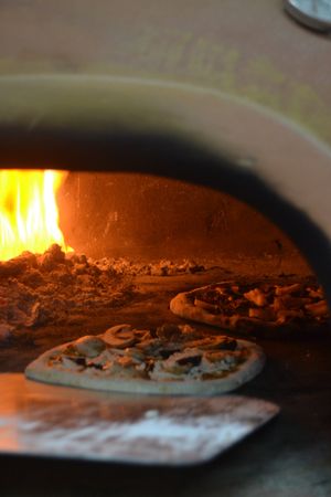 Wood oven at Pizzeria Distrito Vegano in Merida