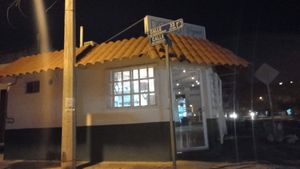  at Pizzeria Distrito Vegano in Merida