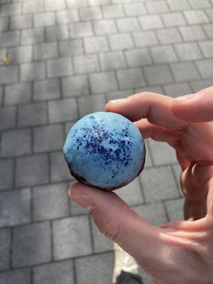 Beautifully blue nut/date ball thingy   at Wild & The Moon - Arnold Schönberglaan in Amsterdam