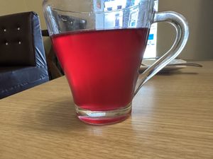 Kombucha made in house.  Yum    at The White Lotus Cafe - Gairidhara in Kathmandu