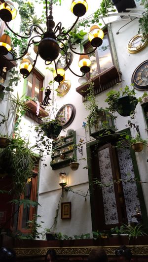  at Wonderland Café in Santiago