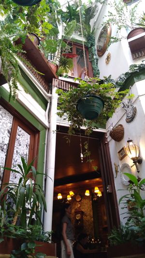  at Wonderland Café in Santiago