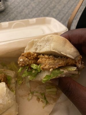 Seezer slider  at La Setima Club in Tampa