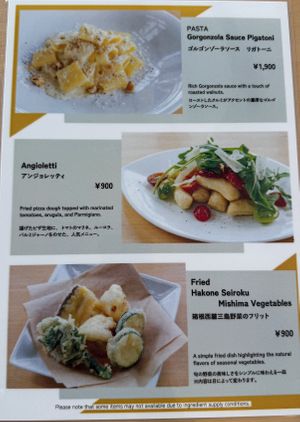   at La Terrazza in Hakone