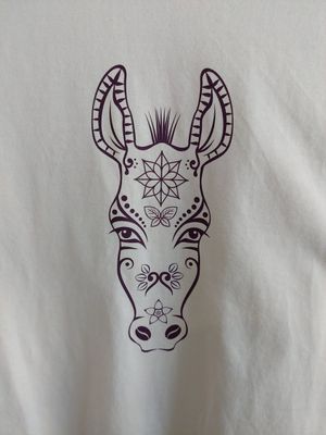 Dusty Donkey t-shirts! at Dusty Donkey Cafe in Maun