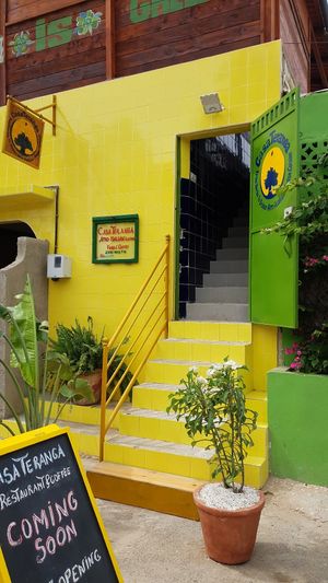 Entrance at CasaTeranga PlantBaseDakar in Dakar