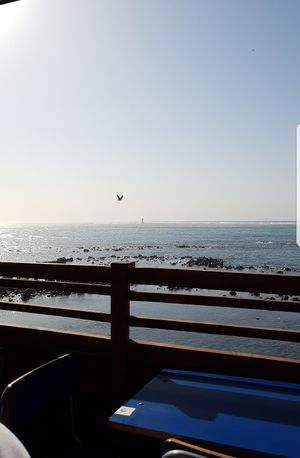Facing the ocean at CasaTeranga PlantBaseDakar in Dakar