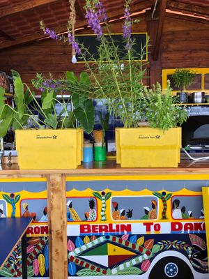  at CasaTeranga PlantBaseDakar in Dakar