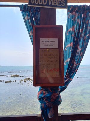 Back to nature at CasaTeranga PlantBaseDakar in Dakar