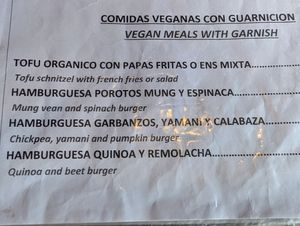 Vegan menu as of Dec 2024 at Monto Rojo in El Chalten