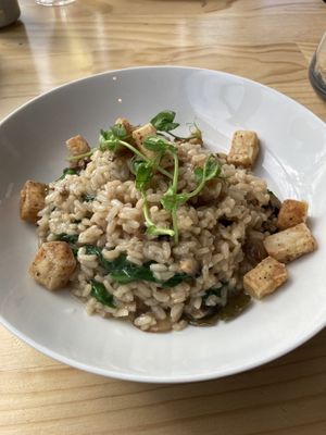 Mushroom risotto with tofu  at Aihe Restaurant in Akaroa