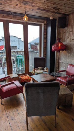 Upstairs - with cat at Eruption Brewing in Lyttelton