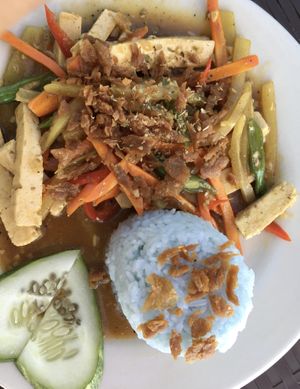 Garlic tofu with veggies and rice  at Villa Potenciana Restaurant in Malapascua Island