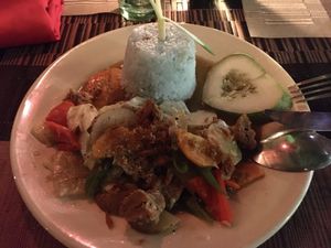 Mixed vegetables with veggie meat (soy chunks) and rice   at Villa Potenciana Restaurant in Malapascua Island