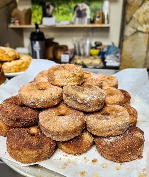 Mini donuts - vegan + gluten free at The Hungry Pug Cafe in Kenora