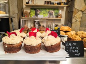 Apricot rose cupcakes and other vegan delights at the bakery at The Hungry Pug Cafe in Kenora