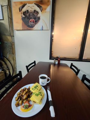 The vegan Benny! Shown with hashbrowns and a coffee at The Hungry Pug Cafe in Kenora