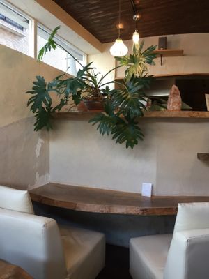 a cosy place to eat alone... at Morpho Cafe in Kyoto