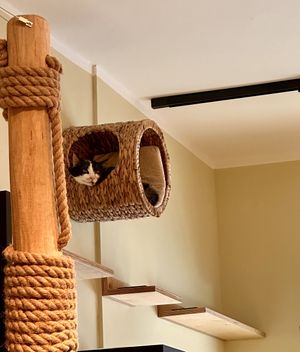   at Katzentempel - Bochum in Bochum