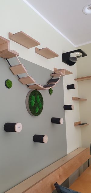  at Katzentempel - Bochum in Bochum