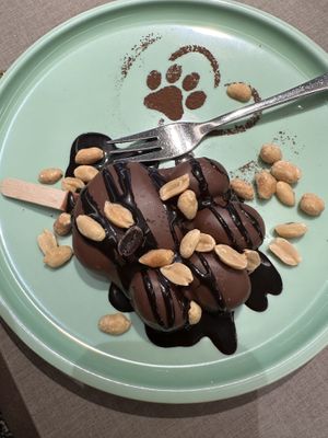   at Katzentempel - Bochum in Bochum