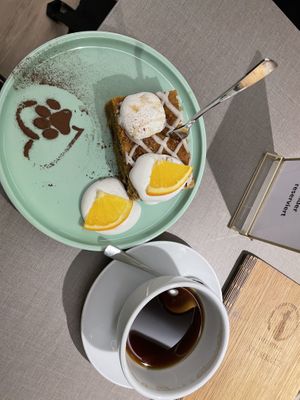  #Veganuary at Katzentempel - Bochum in Bochum