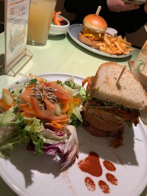   at Katzentempel - Bochum in Bochum