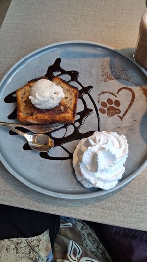  at Katzentempel - Bochum in Bochum