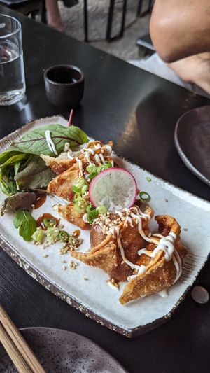 Fried gyoza at Iro Izakaya Vegan in Berlin