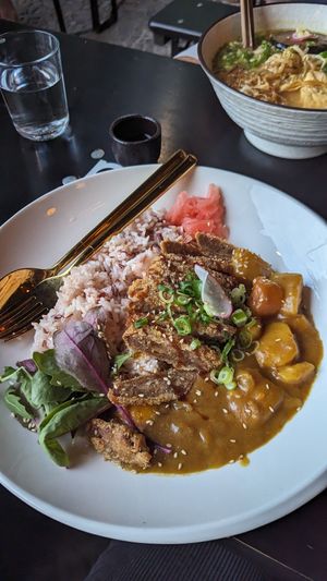 Japanese curry at Iro Izakaya Vegan in Berlin
