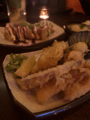 Tempura and gyoza  at Iro Izakaya Vegan in Berlin