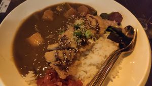 Japanese Curry at Iro Izakaya Vegan in Berlin