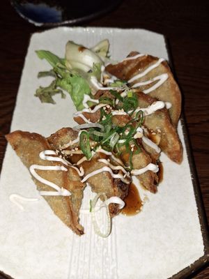 Gyoza at Iro Izakaya Vegan in Berlin