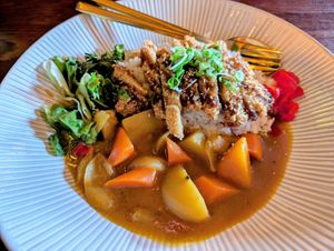 Japanese curry at Iro Izakaya Vegan in Berlin