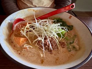 Tantan Ramen  at Iro Izakaya Vegan in Berlin