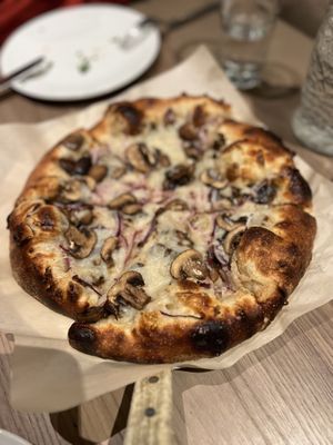 Mushroom pizza with vegan cheese  at Forte in Anchorage