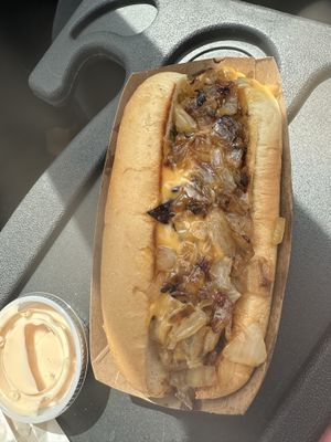 The wild dog  at Lucky Goose  in Albuquerque