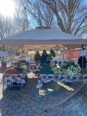 McGolrick Park Farmers Market at Down to Earth McGolrick Park Farmers Market in Brooklyn