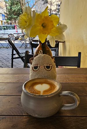 A different day with just cappuccino at Hana Corner Cafe in Tirana