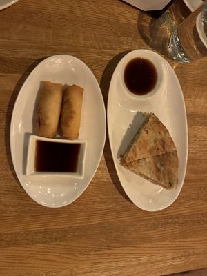 Spring rolls and scallion pancakes  at DanDan Ardmore in Ardmore