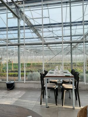 The restaurant is inside a greenhouse at Stadsjochies in Utrecht