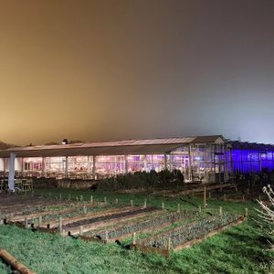 #Veganuary at Stadsjochies in Utrecht